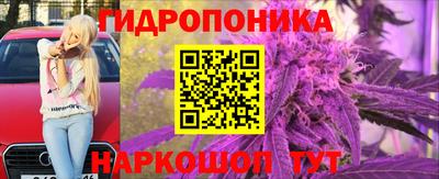 a pvp Сланцы