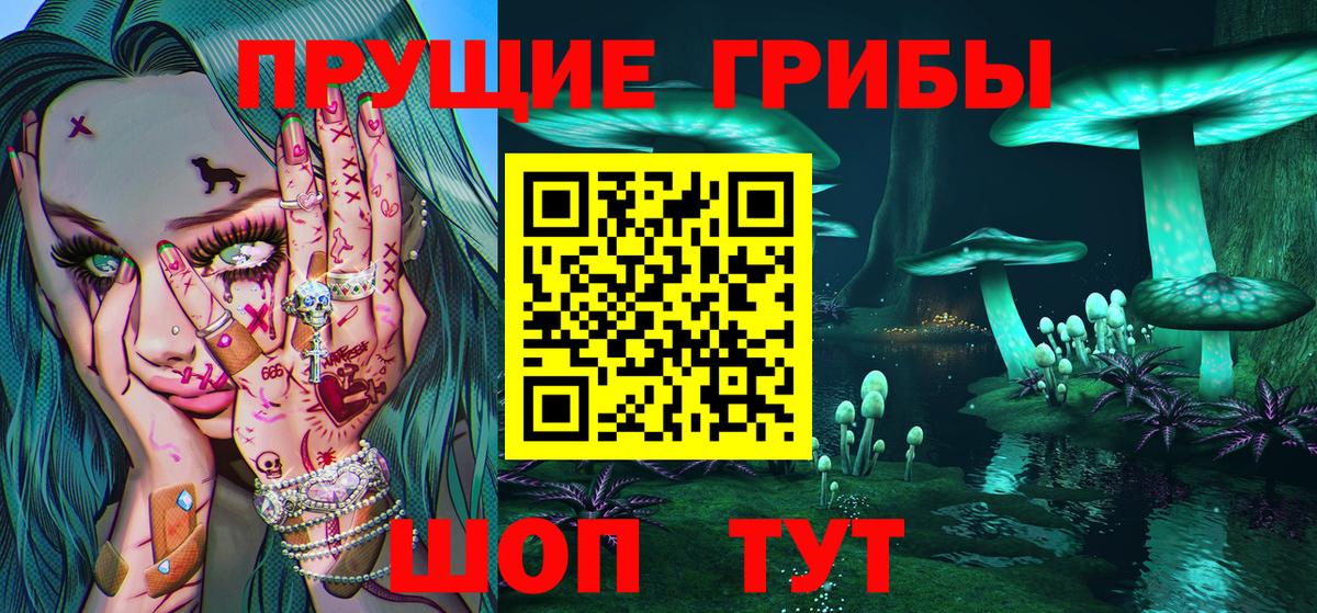 Галлюциногенные грибы Psilocybe Амурск
